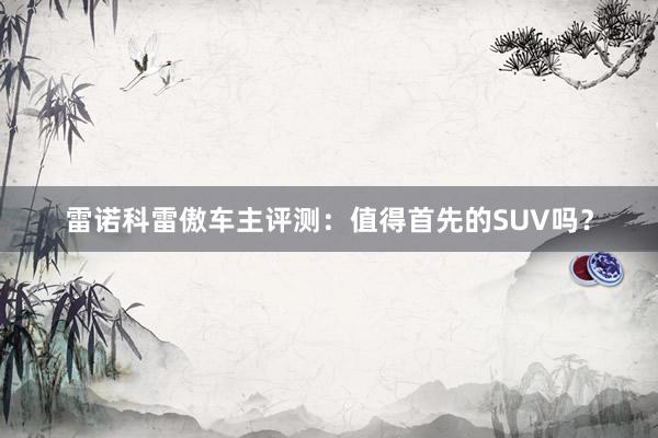 雷诺科雷傲车主评测：值得首先的SUV吗？